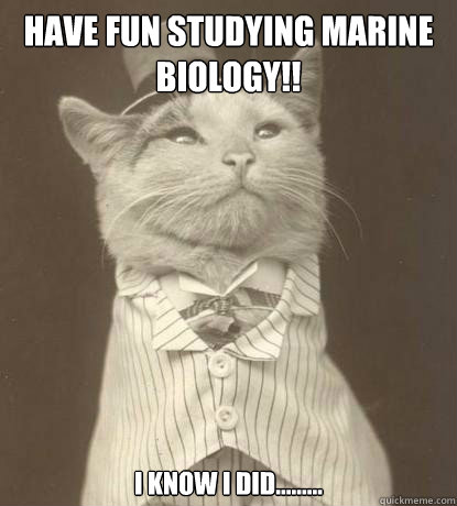 Have fun studying marine biology!!  I know I did.........  Aristocat