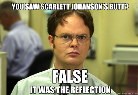 You saw Scarlett Johanson's butt? FALSE It was the reflection  Schrute