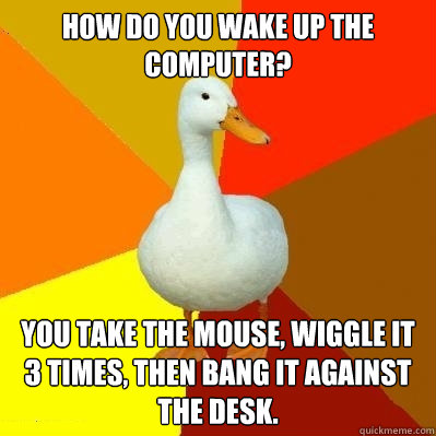 How do you wake up the computer? You take the mouse, wiggle it 3 times, then bang it against the desk.  Tech Impaired Duck