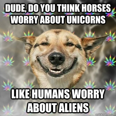 Dude, Do you think horses worry about unicorns  Like humans worry about aliens   Stoner Dog