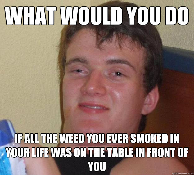 what would you do if all the weed you ever smoked in your life was on the table in front of you  10 Guy