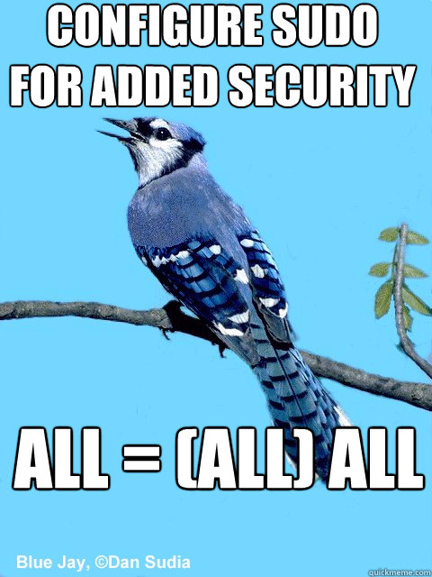 configure sudo for added security ALL = (ALL) ALL  Blue Team Bird