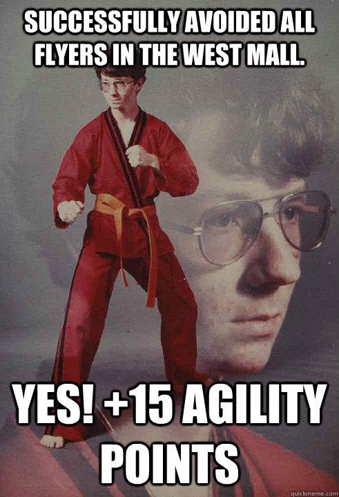 Successfully Avoided all flyers in the West Mall.  Yes! +15 Agility Points   Karate Kyle