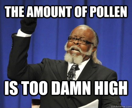 the amount of pollen is too damn high - the amount of pollen is too damn high  Too Damn High