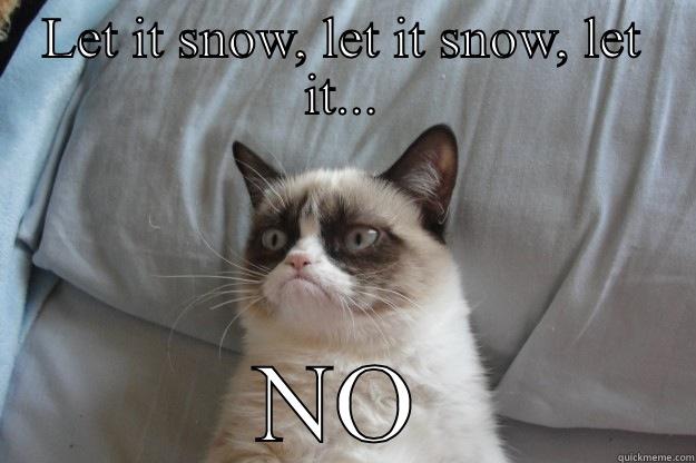 It snowing, I hate it - LET IT SNOW, LET IT SNOW, LET IT... NO Grumpy Cat