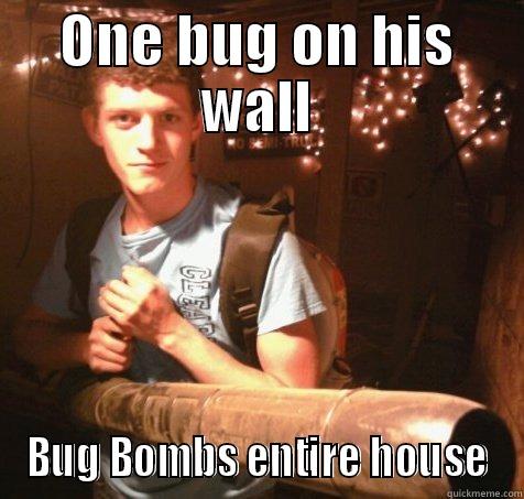 ONE BUG ON HIS WALL BUG BOMBS ENTIRE HOUSE Misc