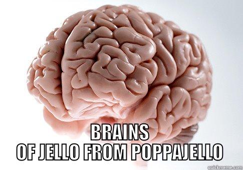  BRAINS OF JELLO FROM POPPAJELLO Scumbag Brain