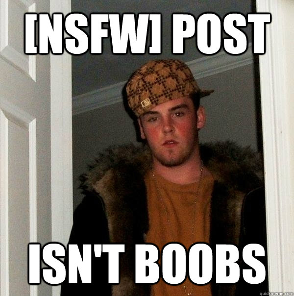 [nsfw] post Isn't boobs  Scumbag Steve