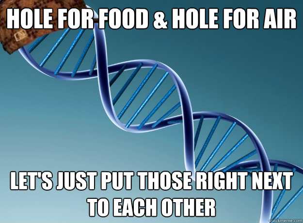 hole for food & hole for air Let's just put those right next to each other  Scumbag Genetics