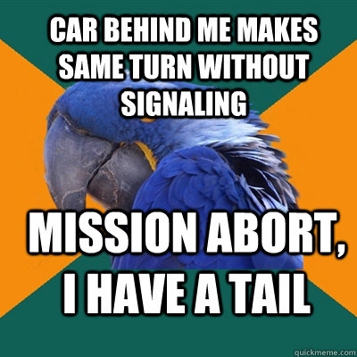 Car behind me makes same turn without signaling Mission abort, I have a tail  Paranoid Parrot