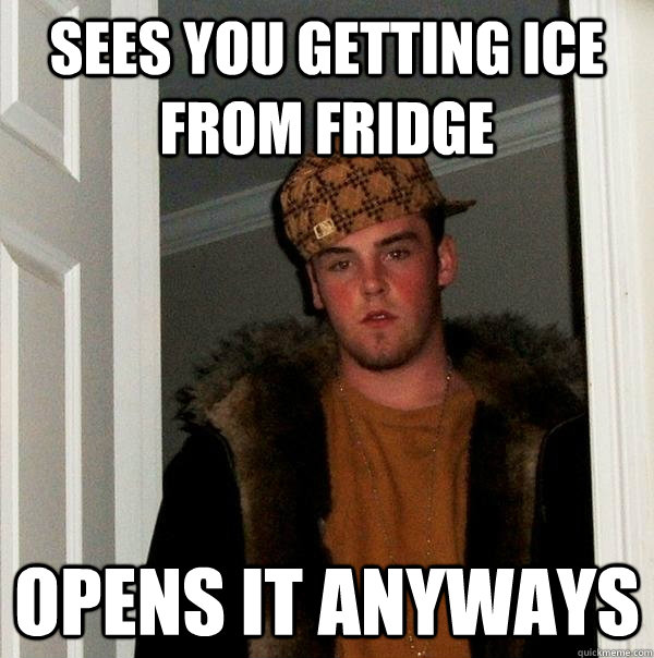 Sees you getting ice from fridge Opens it anyways  Scumbag Steve