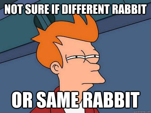 Not sure if different rabbit Or same rabbit - Not sure if different rabbit Or same rabbit  Futurama Fry