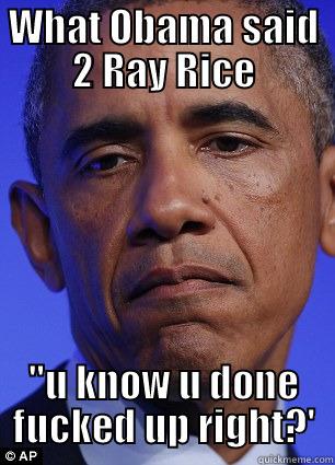 WHAT OBAMA SAID 2 RAY RICE 