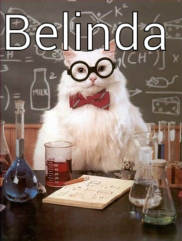 BELINDA  Chemistry Cat