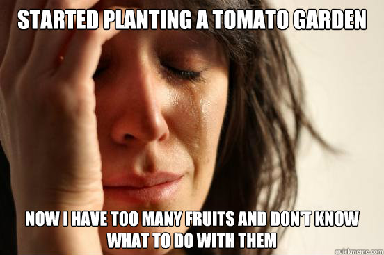 Started Planting a tomato garden Now I have too many fruits and don't know what to do with them  First World Problems