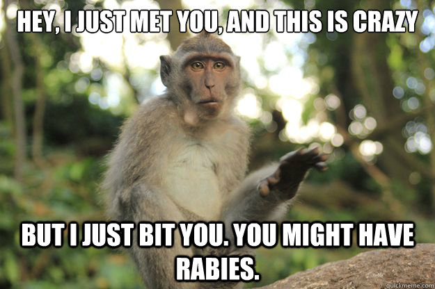 Hey, I just met you, and this is crazy But I just bit you. You might have rabies.  Call Me Rabies