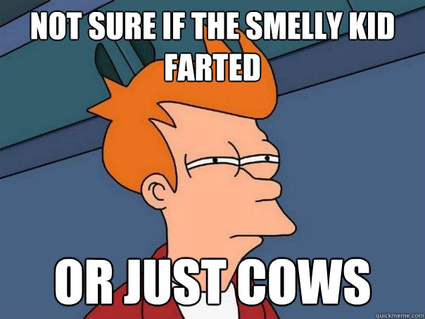 Not sure if the smelly kid farted or just cows - Not sure if the smelly kid farted or just cows  Futurama Fry