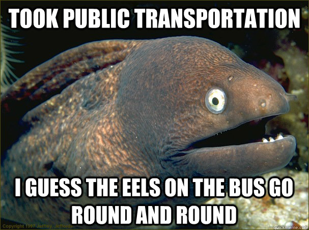 TOOK PUBLIC TRANSPORTATION I GUESS THE EELS ON THE BUS GO ROUND AND ROUND - TOOK PUBLIC TRANSPORTATION I GUESS THE EELS ON THE BUS GO ROUND AND ROUND  Bad Joke Eel