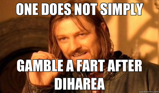 ONE DOES NOT SIMPLY GAMBLE A FART AFTER DIHAREA  Boromir