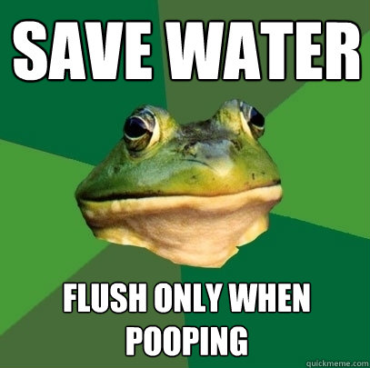 save water flush only when pooping  Foul Bachelor Frog