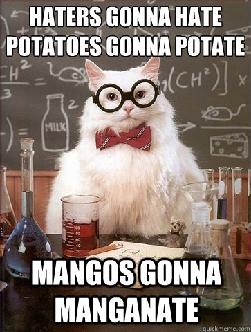 HATERS GONNA HATE
POTATOES GONNA POTATE MANGOS GONNA MANGANATE  - HATERS GONNA HATE
POTATOES GONNA POTATE MANGOS GONNA MANGANATE   Chemistry Cat