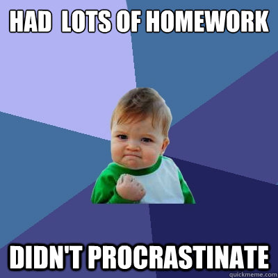 had  lots of homework didn't procrastinate - had  lots of homework didn't procrastinate  Success Kid