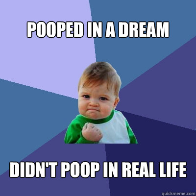 pooped in a dream didn't poop in real life  Success Kid