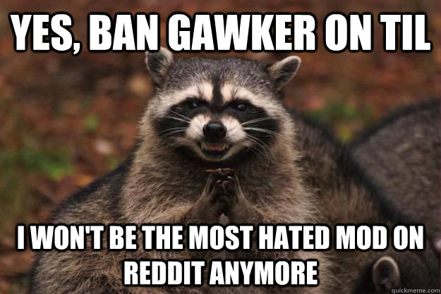 Yes, ban gawker on TIL I won't be the most hated mod on Reddit anymore  Evil Plotting Raccoon