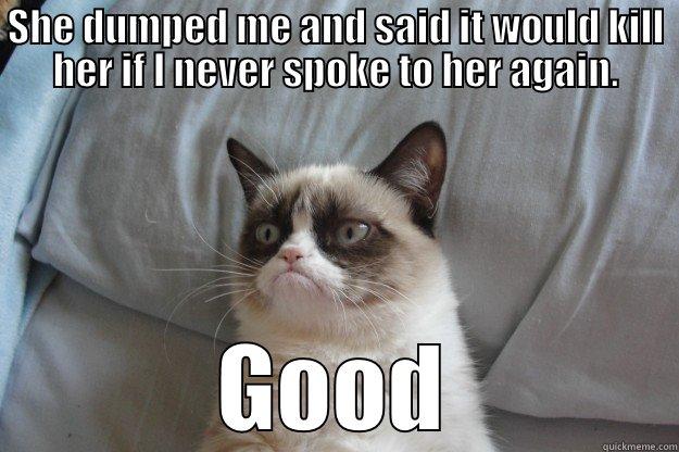 Break up - SHE DUMPED ME AND SAID IT WOULD KILL HER IF I NEVER SPOKE TO HER AGAIN. GOOD Grumpy Cat