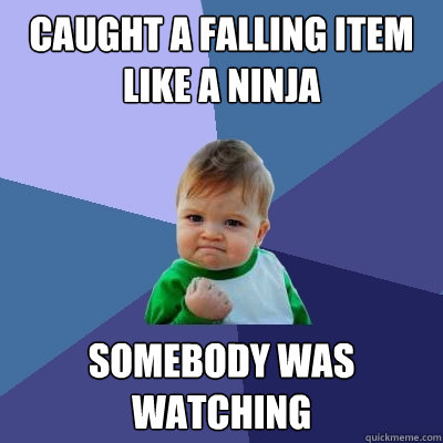 caught a falling item like a ninja somebody was watching - caught a falling item like a ninja somebody was watching  Success Kid