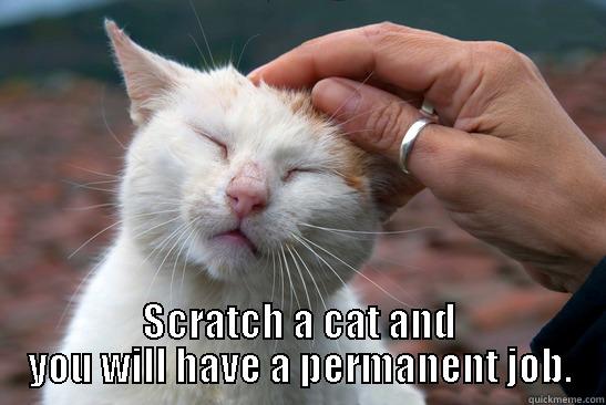  SCRATCH A CAT AND YOU WILL HAVE A PERMANENT JOB. Misc