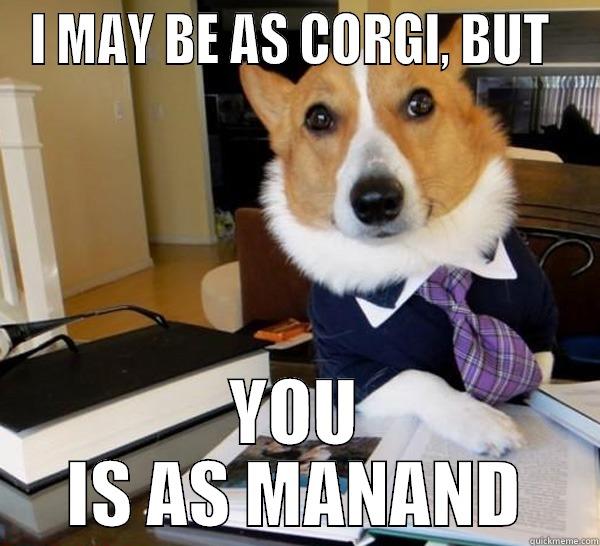 I MAY BE AS CORGI, BUT  YOU IS AS MANAND Lawyer Dog