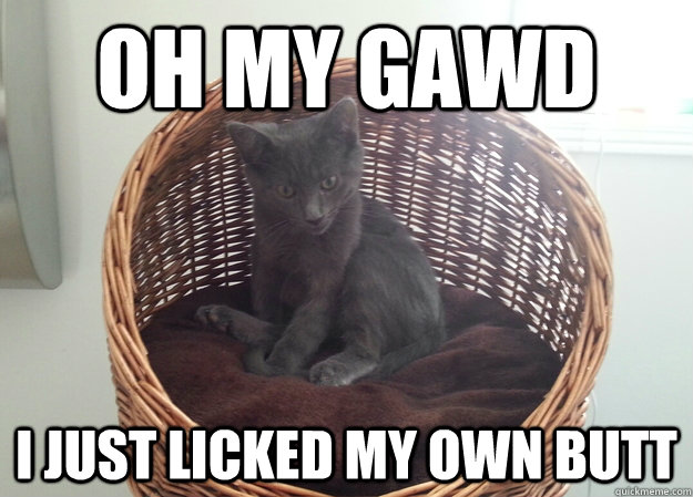 OH MY GAWD I JUST LICKED MY OWN BUTT - OH MY GAWD I JUST LICKED MY OWN BUTT  Sudden Clarity Cat