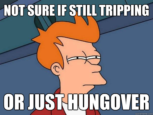 Not sure if still tripping or just hungover  Futurama Fry