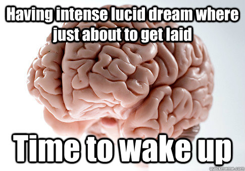 Having intense lucid dream where just about to get laid Time to wake up - Having intense lucid dream where just about to get laid Time to wake up  Scumbag Brain