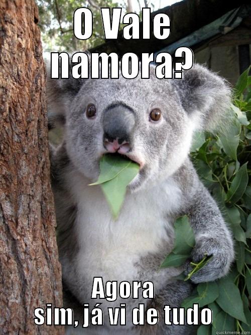 O VALE NAMORA? AGORA SIM, JÁ VI DE TUDO koala bear