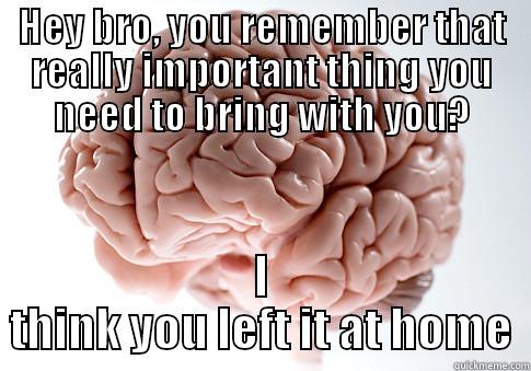 Halfway to the airport - HEY BRO, YOU REMEMBER THAT REALLY IMPORTANT THING YOU NEED TO BRING WITH YOU? I THINK YOU LEFT IT AT HOME Scumbag Brain