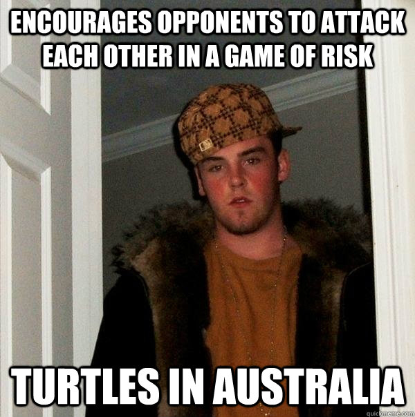 Encourages opponents to attack each other in a game of risk turtles in Australia  Scumbag Steve