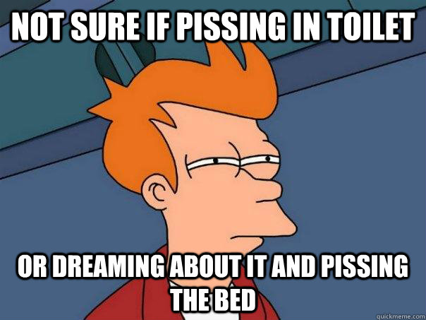 Not sure if pissing in toilet Or dreaming about it and pissing the bed  Futurama Fry