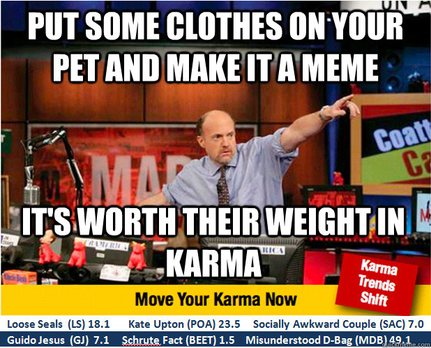 Put some clothes on your pet and make it a meme It's worth their weight in karma   Jim Kramer with updated ticker