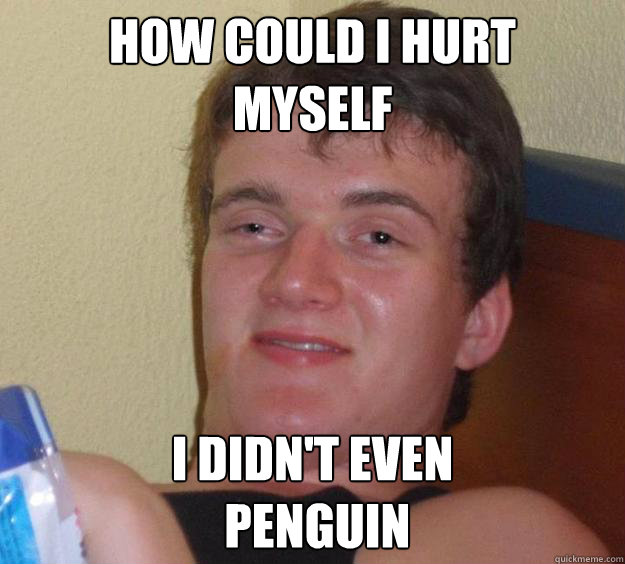 How could I hurt
myself I didn't even
 penguin  10 Guy