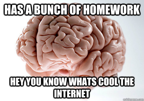 has a bunch of homework hey you know whats cool the internet  Scumbag Brain