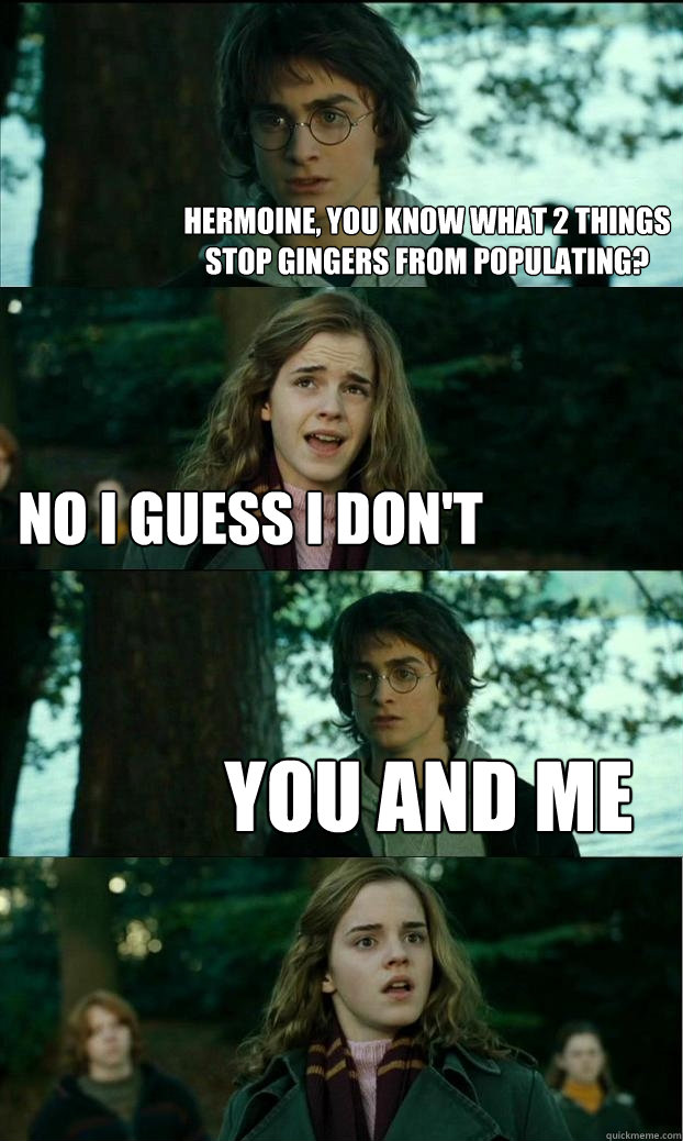 hermoine, you know what 2 things stop gingers from populating? no i guess i don't you and me  Horny Harry