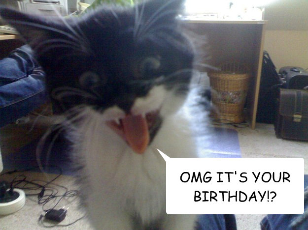 OMG IT'S YOUR BIRTHDAY!? - OMG IT'S YOUR BIRTHDAY!?  Misc