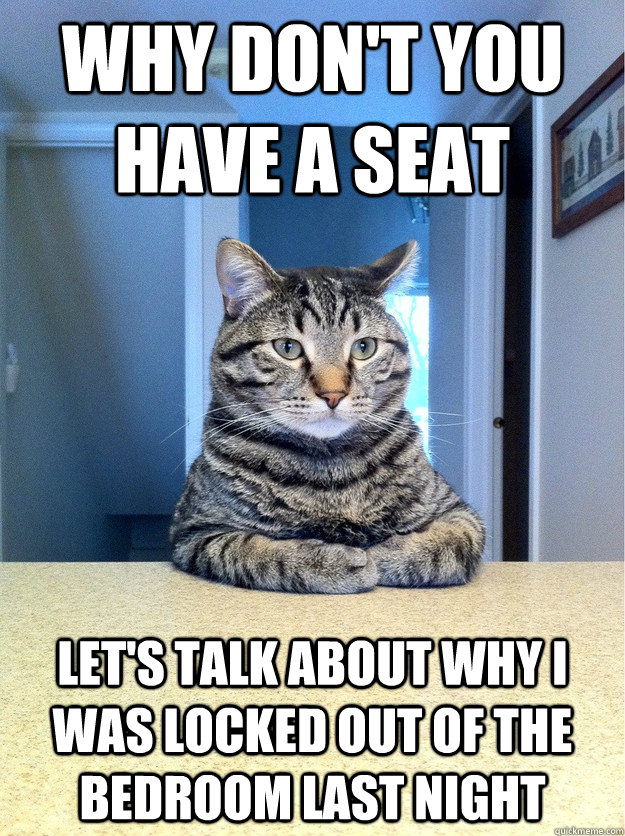 Why don't you have a seat let's talk about why i was locked out of the bedroom last night  Chris Hansen Cat