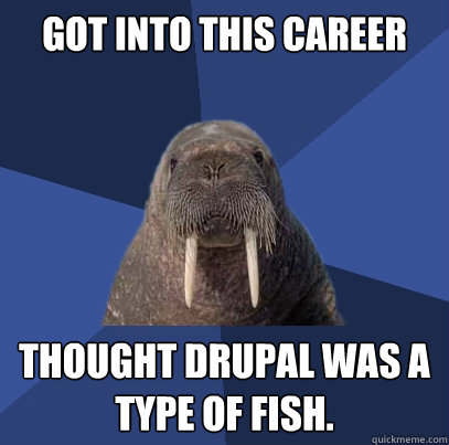 Got into this career Thought Drupal was a type of fish.  Web Developer Walrus