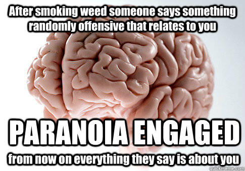 After smoking weed someone says something randomly offensive that relates to you PARANOIA ENGAGED from now on everything they say is about you - After smoking weed someone says something randomly offensive that relates to you PARANOIA ENGAGED from now on everything they say is about you  Scumbag Brain