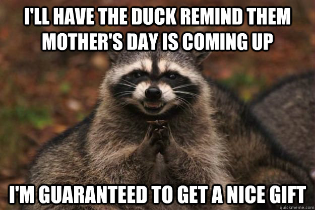 I'll have the duck remind them mother's day is coming up I'm guaranteed to get a nice gift  Evil Plotting Raccoon