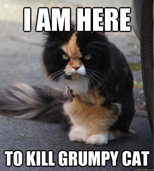 I am here to kill grumpy cat  Evil Cat