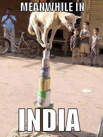 meanwhile in india -           MEANWHILE IN                                             INDIA Misc